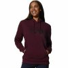 Clothing * | Mountain Hardwear Hot Sale Logo Pullover Hoodie Women'S