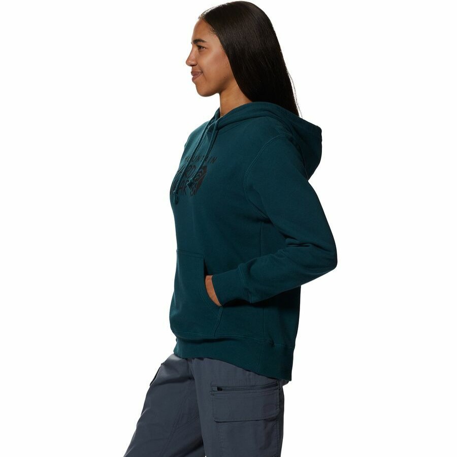 Clothing * | Mountain Hardwear Hot Sale Logo Pullover Hoodie Women'S